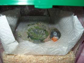 Resize of 02-01-2004-3002.jpg