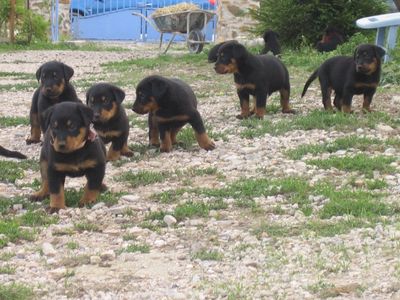 BÃ©bÃ©s unah sept 05 114.jpg