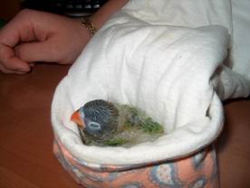 Resize of 02-01-04-10008.jpg