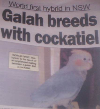 galahtiel.jpg