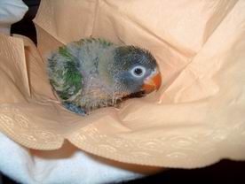 Resize of 02-01-040011.jpg