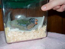 Resize of 02-01-040009.jpg