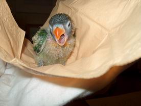 Resize of 02-01-040017.jpg