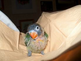 Resize of 02-01-040016.jpg