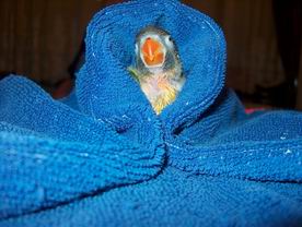 Resize of 05-01-2004-10023.jpg