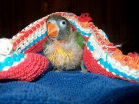 Resize of 05-01-2004-10009.jpg