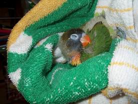 Resize of 05-01-2004-30016.jpg