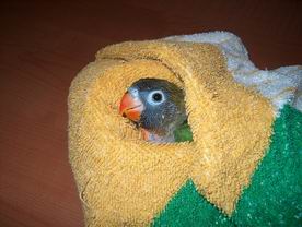 Resize of 05-01-2004-10028.jpg