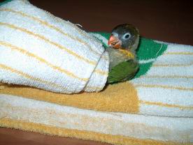 Resize of 06-01-04-10052.jpg