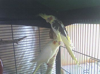 2Snoop & Fanny0007.jpg