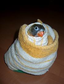 Resize of 06-01-04-10036.jpg