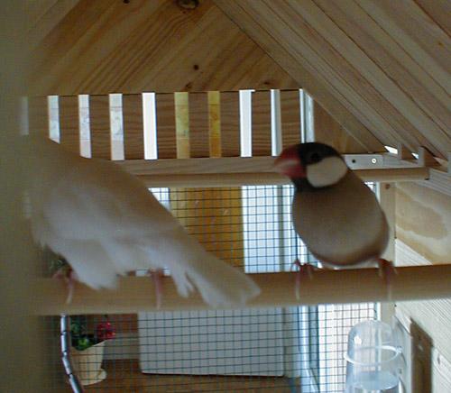 Bonnie & Clyde001.jpg