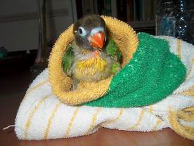 Resize of 07-01-2004-10018.jpg