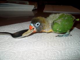 Resize of 07-01-2004-10048.jpg