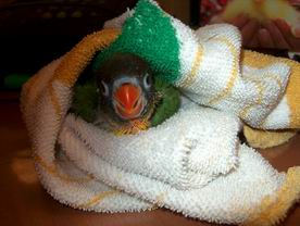 Resize of 07-01-2004-10044.jpg