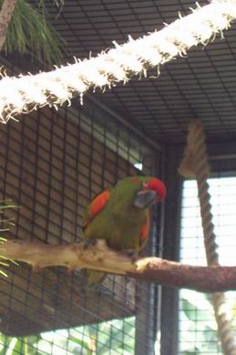 Resize of Tenerife30318.jpg