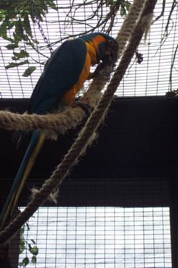 Resize of Tenerife30324.jpg