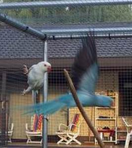 Resize of 21-06-20030040.jpg