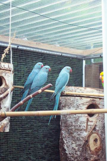 Resize of 03-08-20030051.jpg