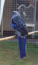 Resize of 21-08-20030026.jpg