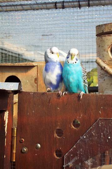 Resize of 14-02-20030057.jpg