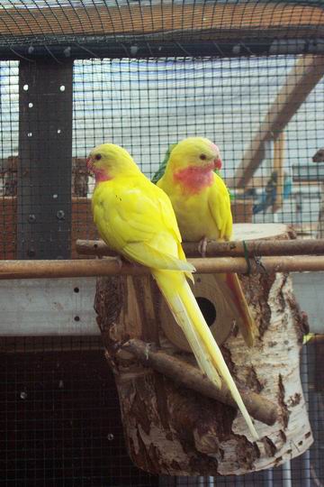 Resize of 31-08-20030025.jpg