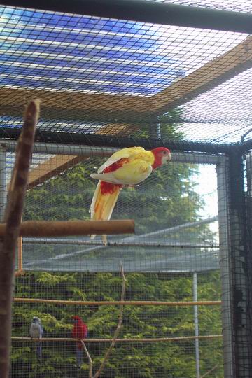 Resize of 31-08-20030020.jpg