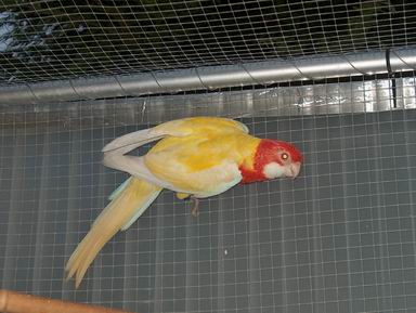 Resize of 25-12-2003-20032.jpg