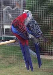 Resize of 21-08-20030024.jpg