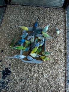 Resize of Rotation of 20-07-20030018.jpg