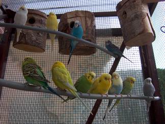 Resize of 10-06-2003-009.JPG