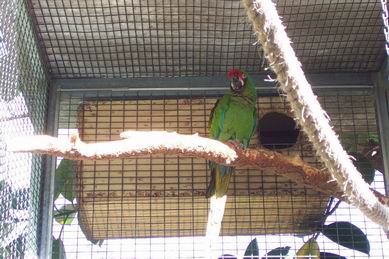 Resize of Tenerife30065.jpg