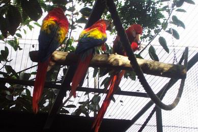 Resize of Tenerife30322.jpg