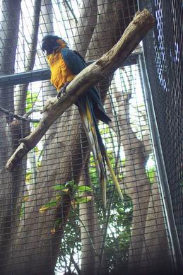 Resize of Tenerife30323.jpg