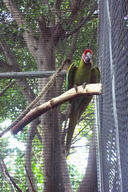 Resize of Tenerife30326.jpg