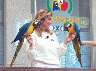 Resize of Tenerife30104.jpg