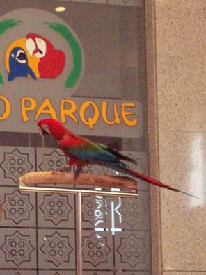 Resize of Tenerife30102.jpg