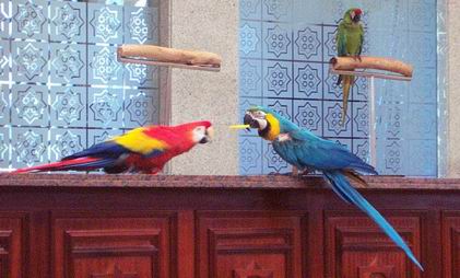 Resize of Tenerife30107.jpg