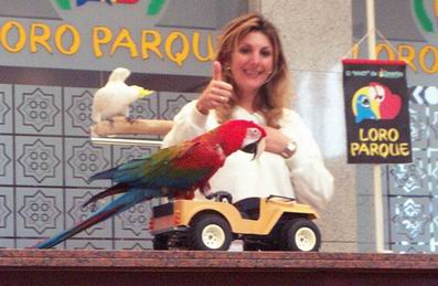 Resize of Tenerife30106.jpg