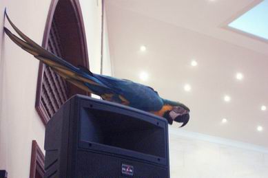 Resize of Tenerife30456.jpg