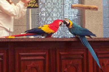 Resize of Tenerife30478.jpg