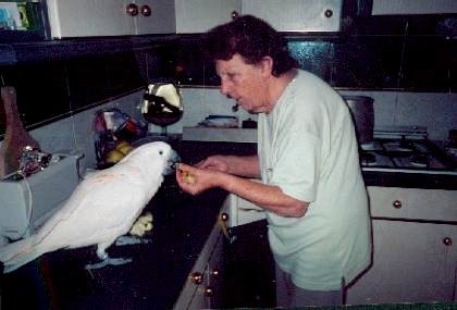 Gandhi en cuisine.jpg