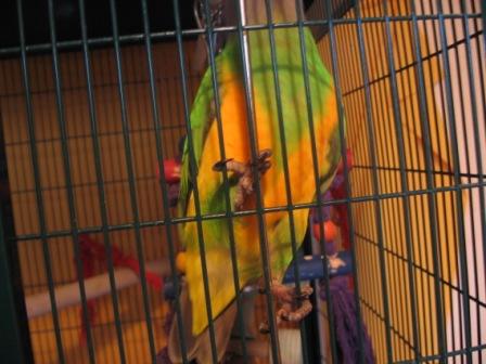 Copie de IMG_0373.jpg