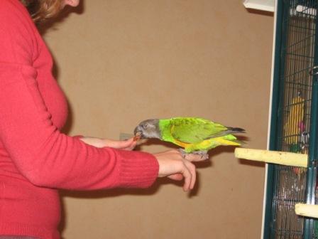 Copie de 20051221_0007.JPG