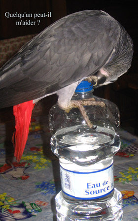 quelqu'un-peut-il.jpg