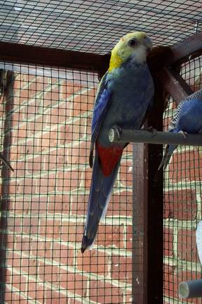 Resize of 23-02-20020046.jpg