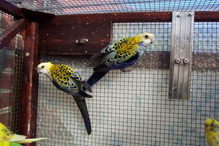 Resize of 23-02-20020057.jpg