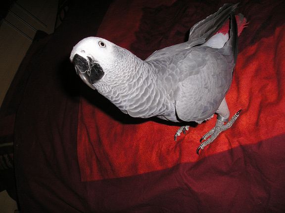 luna soirÃ©e (3).jpg