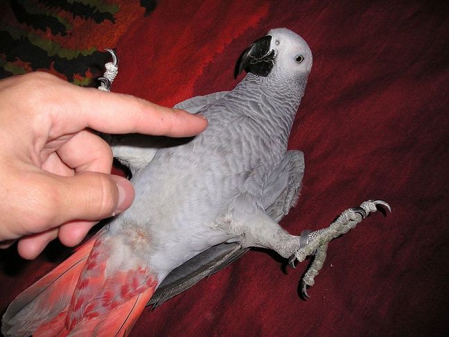 luna soirÃ©e (11).jpg