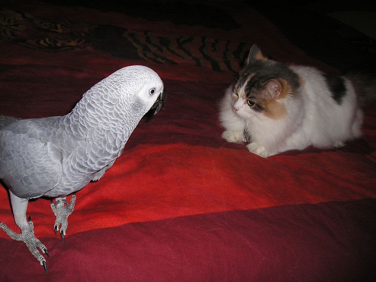 luna soirÃ©e (1).jpg